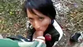 Египет смучене петел ...