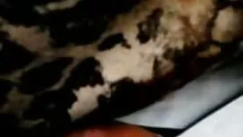 APY Джейдън Джейдън  ...